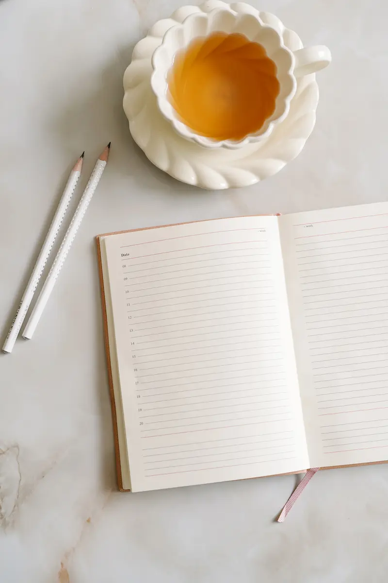 Starter blog setup ready to be sold without traffic